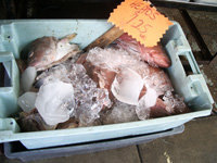 Basket o' fish heads for sale